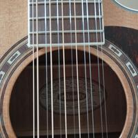 chitarra 12 corde