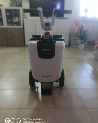 Scooter elettrico per disabili