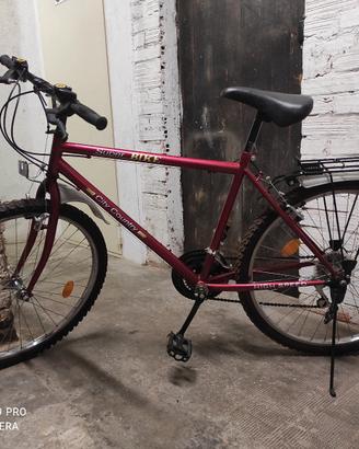 bici Mountain bike 