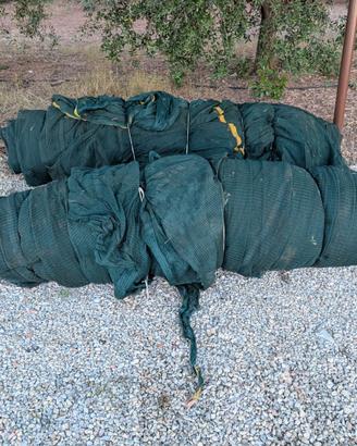 Teli per raccolta delle olive