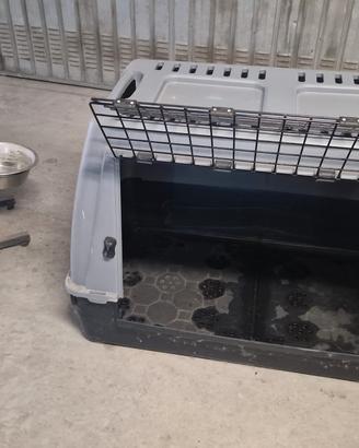 Trasportino ben tenuto