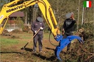 Pinza Tronchi Pinze Legna Spaccata ITERA