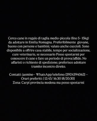 Sto provando a trovare dei cani in adozione