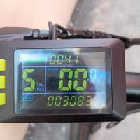 bici elettrica o pedalata assistita 