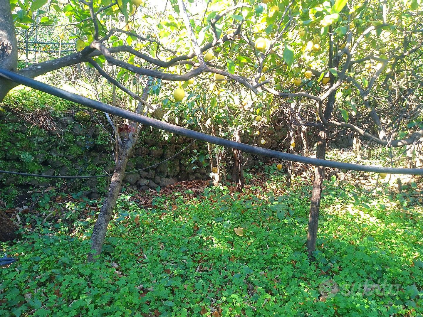 Terreno - Giarre - Altro