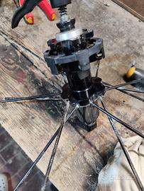 Mozzo Mavic Crossmax SL disc (posteriore)