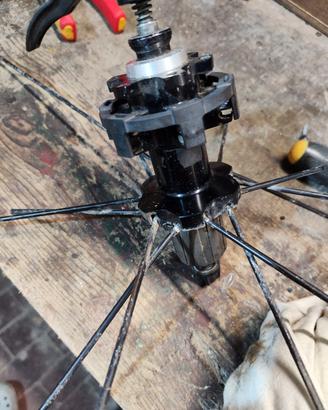 Mozzo Mavic Crossmax SL disc (posteriore)