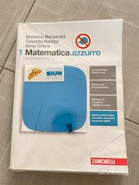 Matematica Azzurro 1