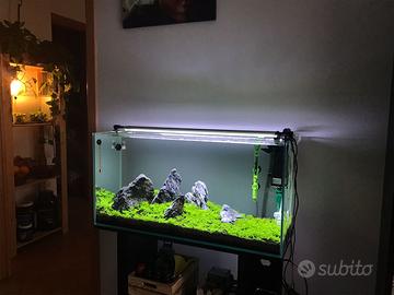 Acquario completo