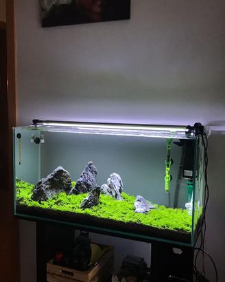 Acquario completo