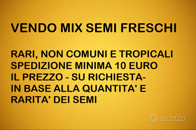 MIX SEMI FRESCHI