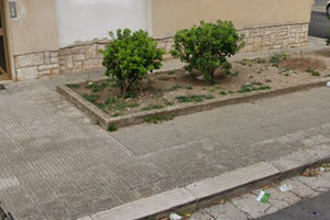 Appartamento piano rialzato zona pineta