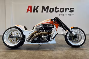 HARLEY-DAVIDSON SPECIAL BIKE