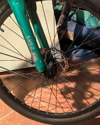 bici elletrica