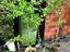 Immagine 4