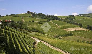 TERRENO A CANELLI