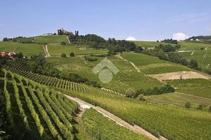 TERRENO A CANELLI