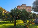 appartamento-con-terrazzo-e-giardino
