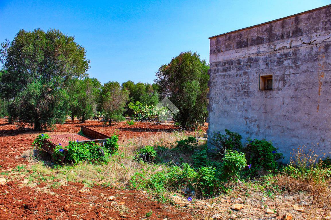 RUSTICO A CAROVIGNO - Vista 5