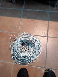 Cavo di Rete Ethernet UTP Cat 5e 50mt