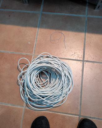 Cavo di Rete Ethernet UTP Cat 5e 50mt