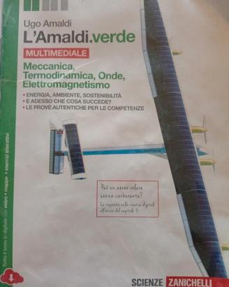 L' Amaldi.verde