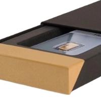 Letchurm - Pisa Case/Box per 1 Lingotto d'Oro