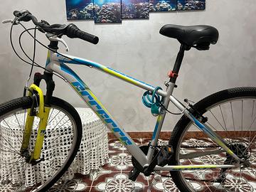 Bici mtb
