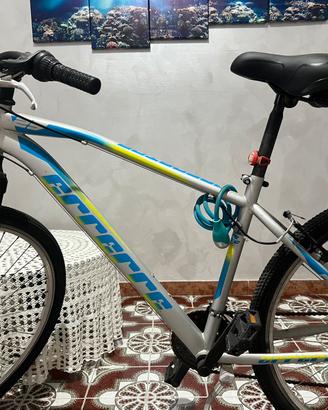 Bici mtb