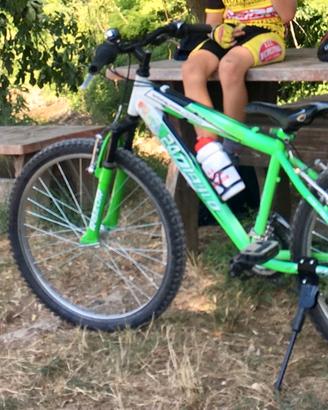 bicicletta 24"