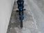 Immagine 4