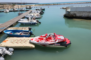 Sea doo speedster 150