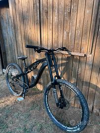 Bicicletta dh in carbonio