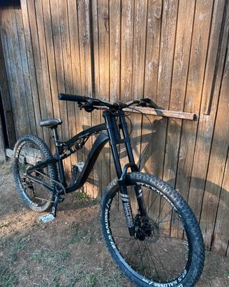 Bicicletta dh in carbonio