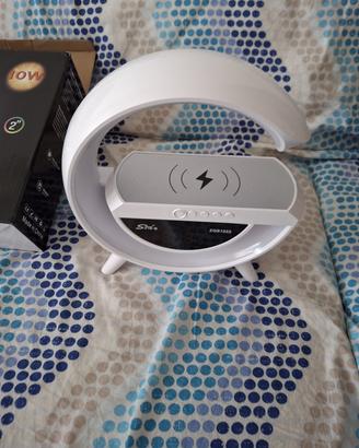 Mini altoparlante wireless portatile con caricabat