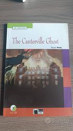 Libro narrativa in inglese per preparazione esami 