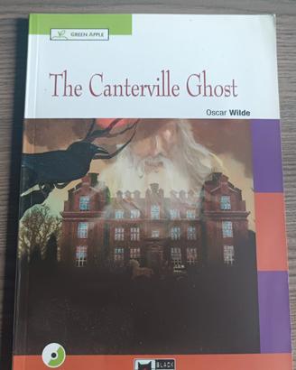 Libro narrativa in inglese per preparazione esami 