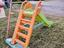 Immagine 3