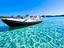 Immagine 7