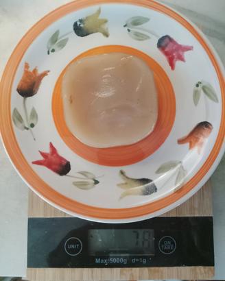 Kombucha fungo Scooby bio