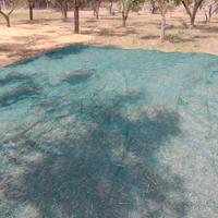 nuovi  teli raccolte olive varie dimensioni
