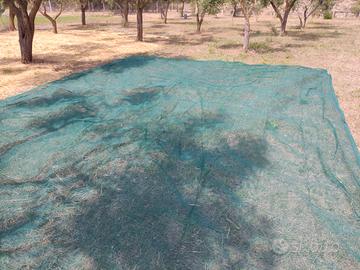 nuovi  teli raccolte olive varie dimensioni