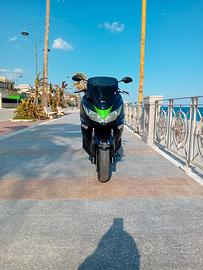 Kawasaki J300 