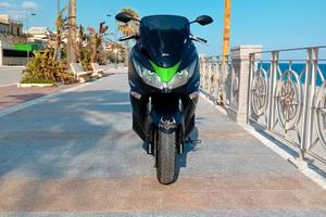 Kawasaki J300 