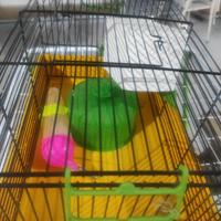 gabbia per criceti 