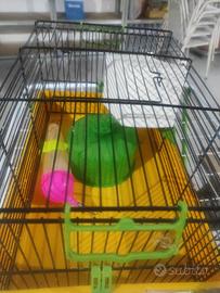 gabbia per criceti 