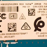Hard Disk M2 256Mb