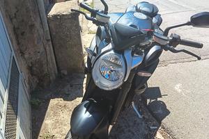 Brutale 800