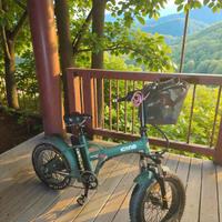 bicicletta elettrica ICONE 