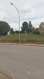 Terreni edificabili e agricoli